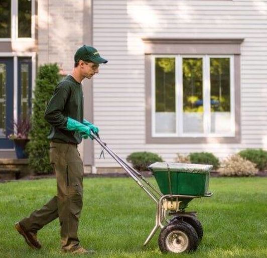 Lawn Fertilization