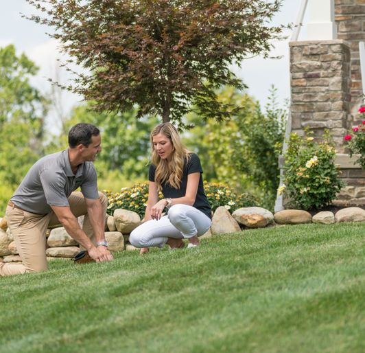 Lawn Care Inspection