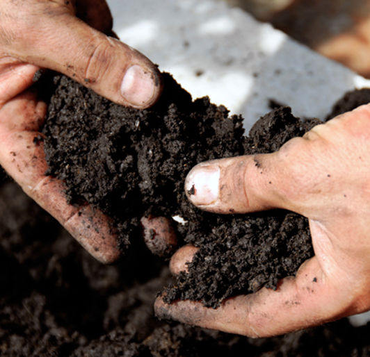 Garden Soil Stock