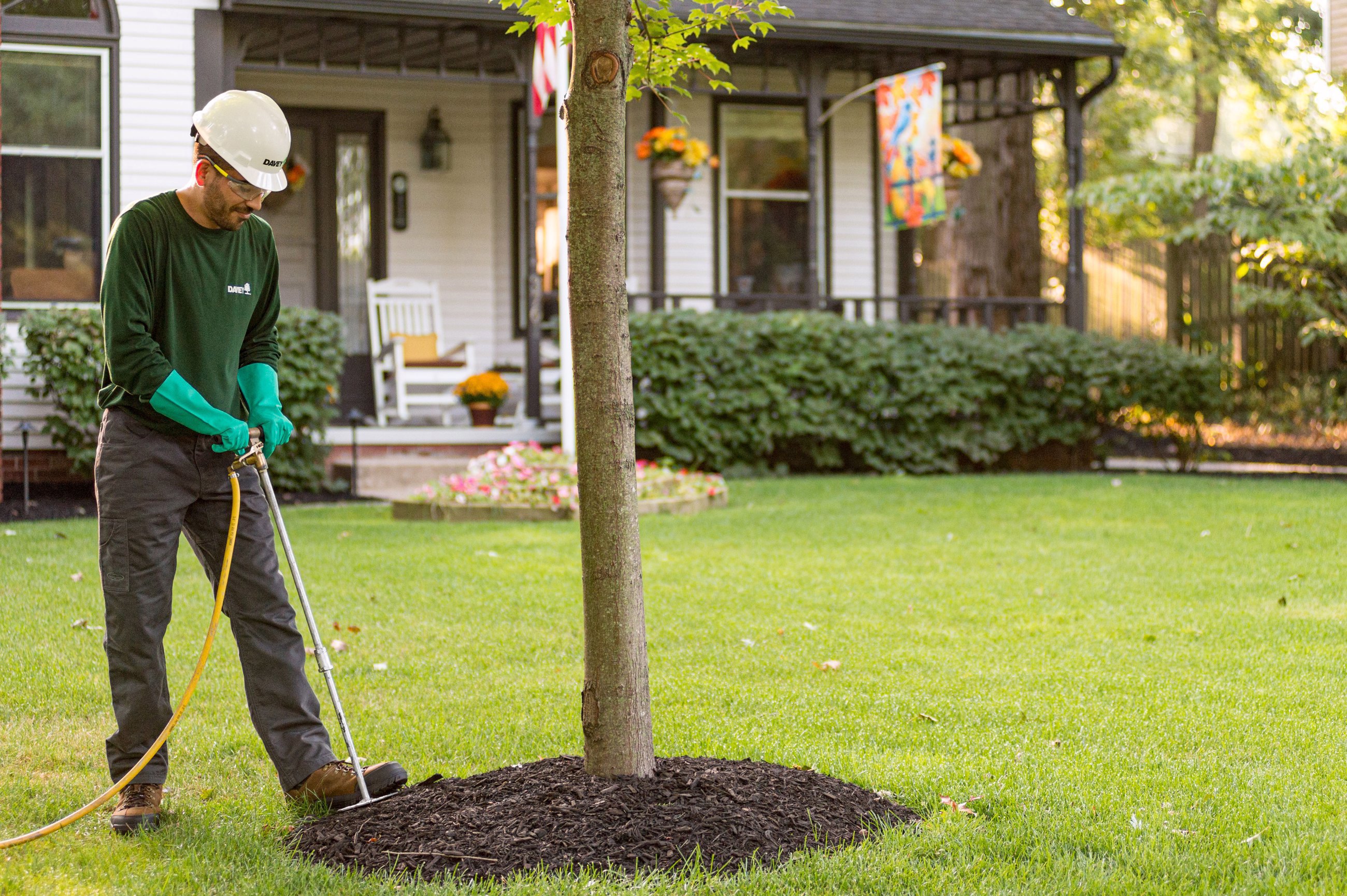 Local Tree Services for Memphis, TN